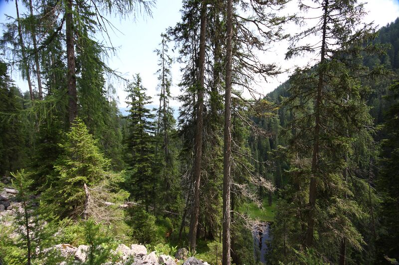 Datei:Lucken kemetgebirge 97277 2015-07-16.jpg
