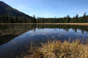 Miesbodensee 40530 2012-10-05.jpg