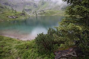Moaralmsee 1337 2010-07-27.jpg