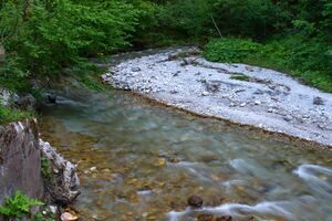 Rössingbach 1820 13-07-21.jpg