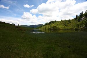 Schobersee 93190 2015-06-26.jpg