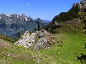 Steinböcke -Gößeck 60045 2014-06-10.JPG
