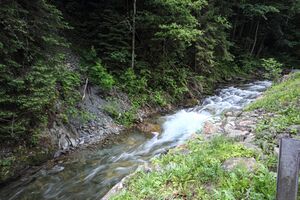 Strechaubach strechau 76510 2018-05-28.jpg