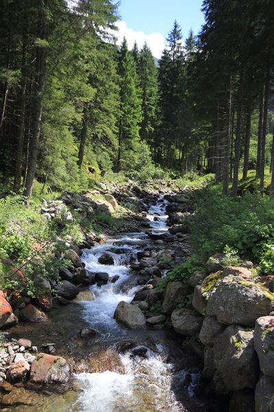 Datei:Tuchmoarbach strieglertal 54372 2017-07-21.jpg