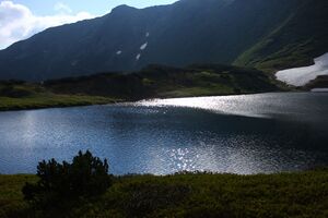 Untere riednersee 65340 2014-06-26.jpg