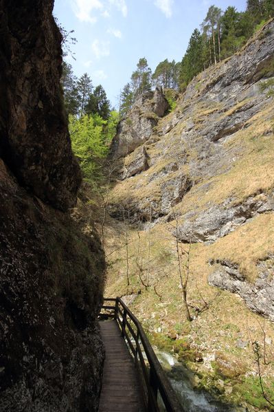 Datei:Wasserlochklamm palfau 70586 2018-04-23.jpg