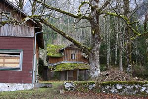 Altausseer seewiese 79743 2014-11-15.jpg