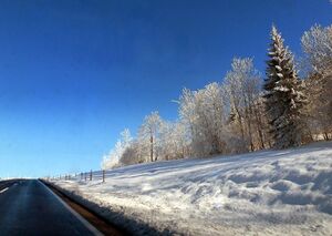 Buchauer sattel10001.JPG