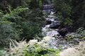 Donnersbachklamm 72845 2014-06-18.jpg