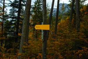 Gamsstelle loser-4100-2021-10-18.jpg