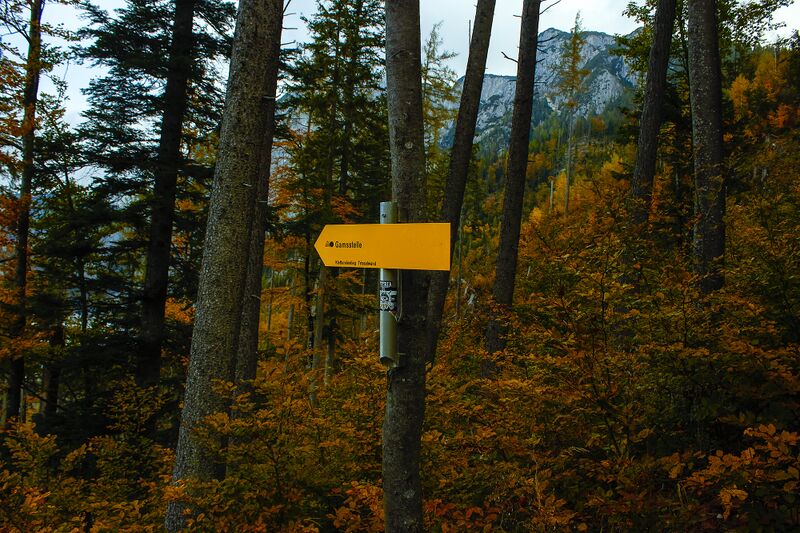 Datei:Gamsstelle loser-4100-2021-10-18.jpg