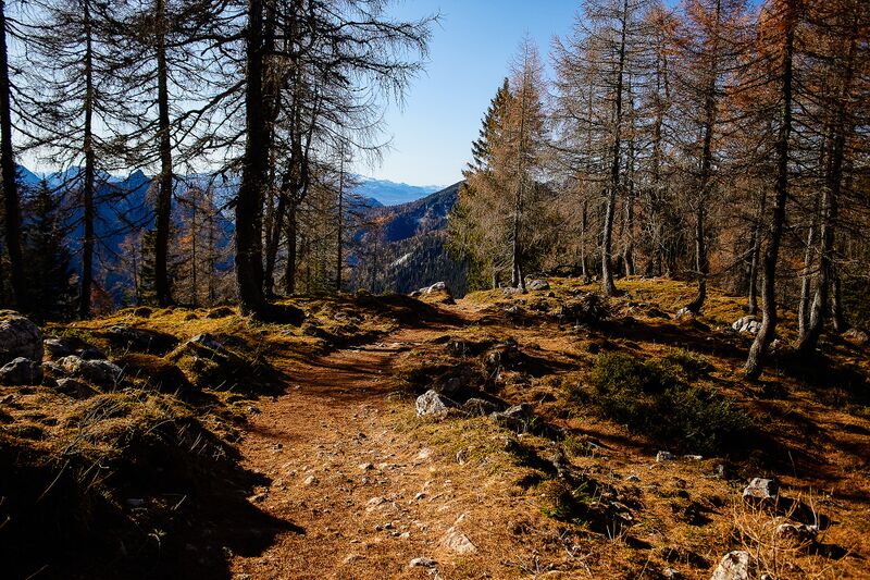 Datei:Gott sei dank bankerl-0279-2020-11-06.jpg