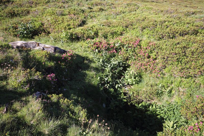 Datei:Gumpenkar 53237 2017-07-05.jpg