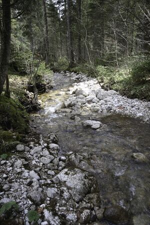Hallbach 21132 2016-04-15.jpg