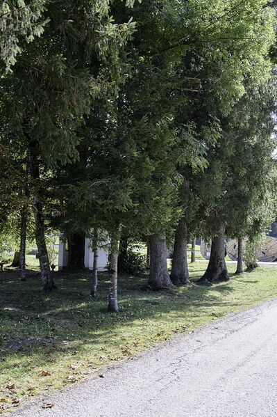 Datei:Kaiserjubiläumspark Bad M-0409-2023-10-13.jpg