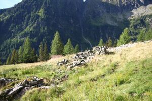 Lassachalm (Alm) 02509 2015-08-28.jpg