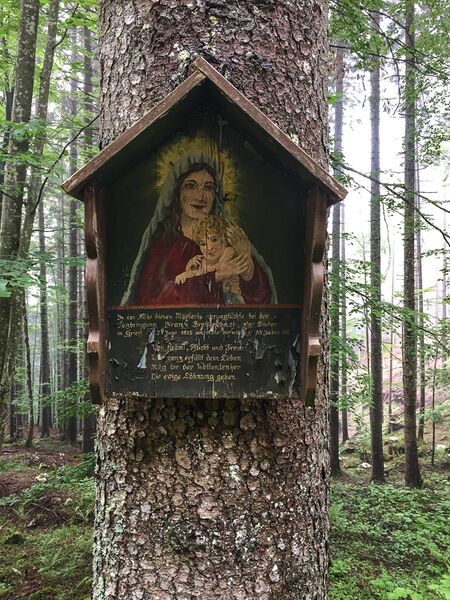 Datei:MA Bretterebner-3101-2020-05-27.jpg