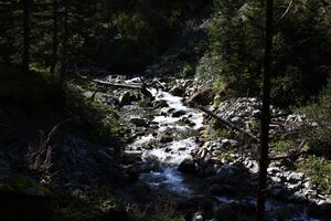 Neualmbach kleinsölk 72499 2014-09-17.jpg