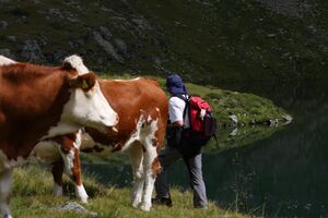 Oberer lanschitzsee 98147 2011-08-12.jpg