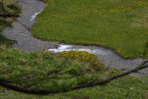 Obertalbach -neualm 25133 2009-06-17.jpg
