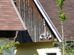 Pulvermacher Hubenbauer90150.JPG