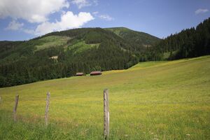 Schattner lehen 78166 2018-06-11.jpg