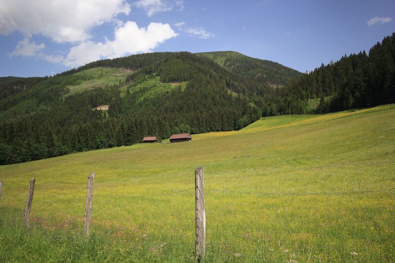 Datei:Schattner lehen 78166 2018-06-11.jpg