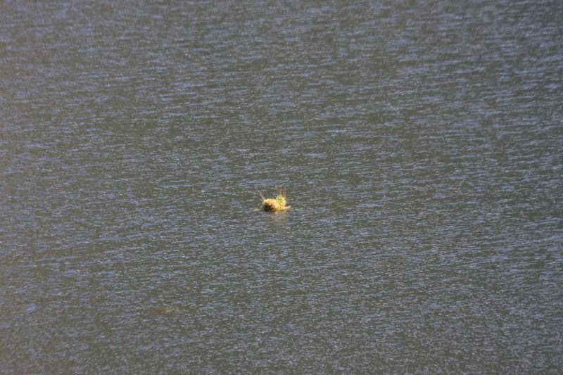 Datei:Schwarzensee kleinsölk 72547 2014-09-17.jpg