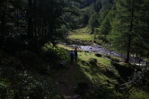 Unterer lanschitzsee 97986 2011-08-12.jpg