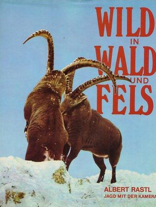 Wild in Wald und Fels-rastl.jpg