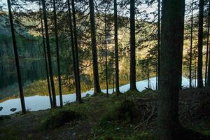 Ödensee 77955 2014-11-03.jpg