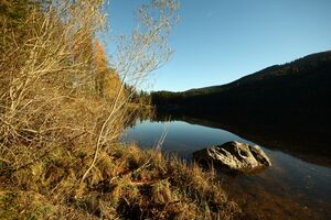 Ödensee 77971 2014-11-03.jpg