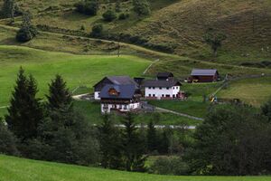 BH triml großsölk 44955 2016-08-17.jpg