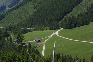 Beireutalm 90190 2015-06-08.jpg