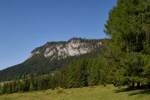 Bergerwand tauplitz-0126-2023-06-01.jpg