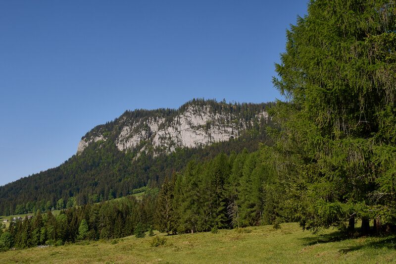 Datei:Bergerwand tauplitz-0126-2023-06-01.jpg
