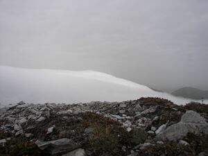 Brotrinnl 18499 2006-09-25.jpg