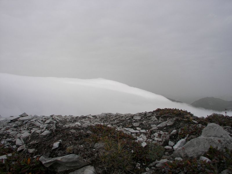 Datei:Brotrinnl 18499 2006-09-25.jpg