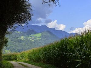 Ennsau Wörschach1240959.JPG