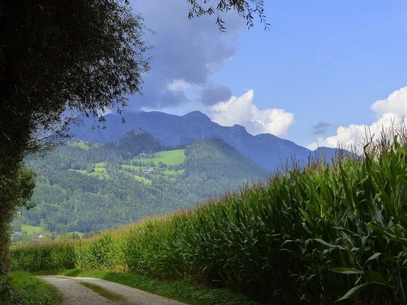 Datei:Ennsau Wörschach1240959.JPG