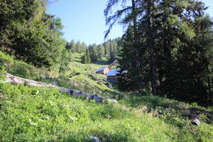 Gößlalm grundlsee 77573 2018-06-04.jpg