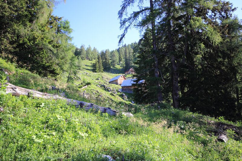 Datei:Gößlalm grundlsee 77573 2018-06-04.jpg