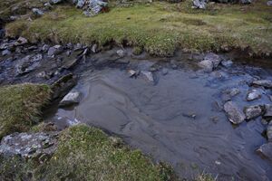 Gollingwinkel 35381 2016-11-01.jpg