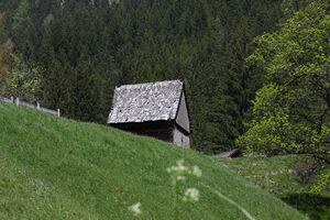 Heustadel hochegger großsölk 56053 2014-05-02.jpg