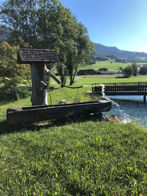 Klauberlahn aich-1000-2022-08-03.jpg