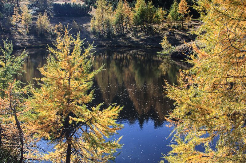Datei:Landschaftsteich Reiteralm-12-2019-10-15.jpg