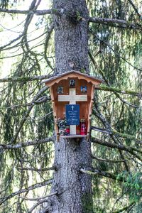 MA W-R-M fastenberg-0070-2025-05-11.jpg