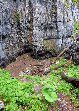 Notgasse kemetgebirge 66372 2014-07-05.JPG