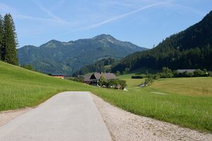 Peterbauer Breitau-0159-2025-06-18.jpg