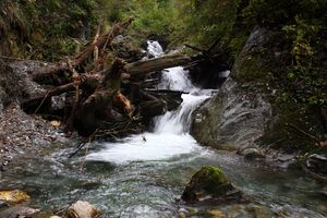 Teufelsschlucht Seewigtal 73405 2014-10-02.jpg